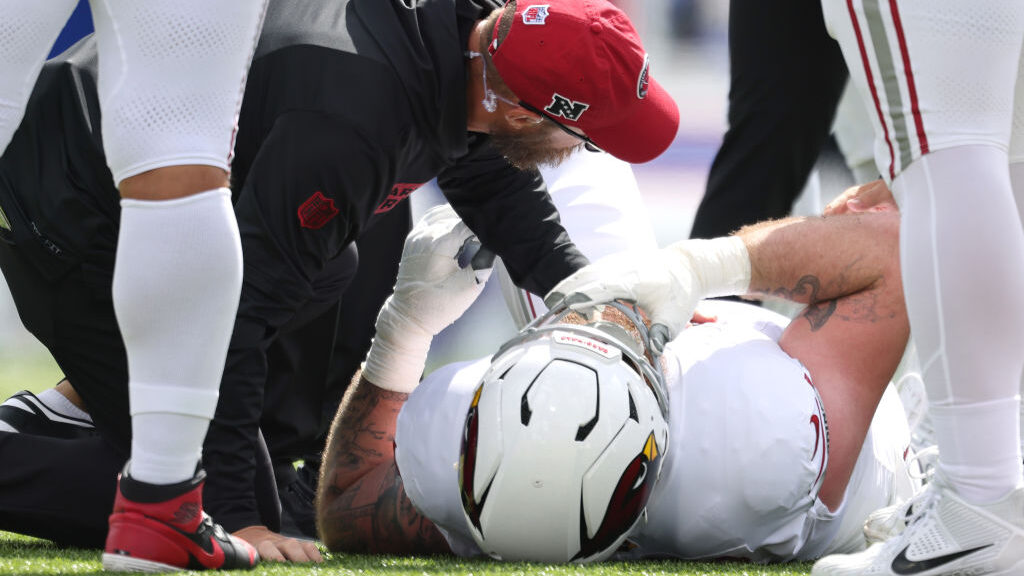 Arizona Cardinals v Buffalo Bills